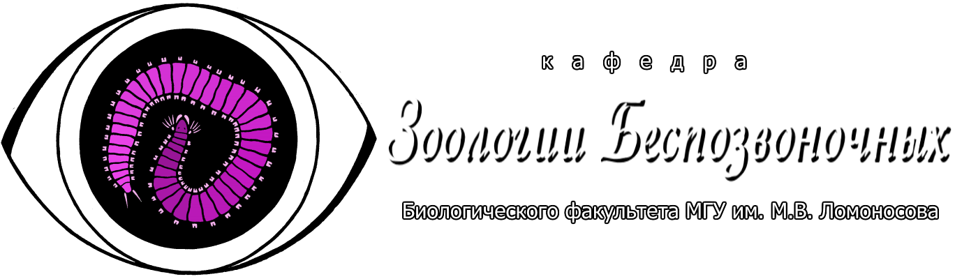 Logo ru v3